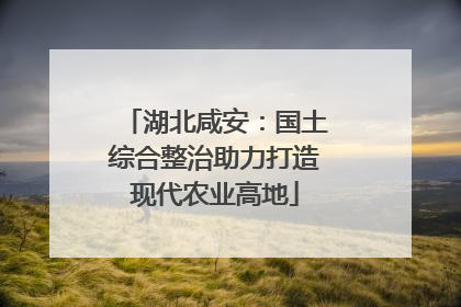 湖北咸安：国土综合整治助力打造现代农业高地