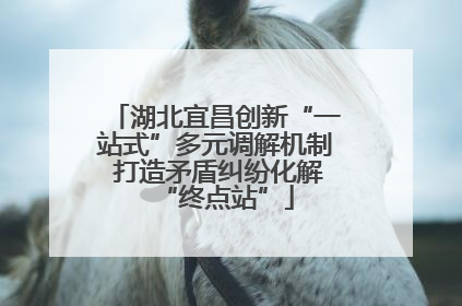 湖北宜昌创新“一站式”多元调解机制 打造矛盾纠纷化解“终点站”