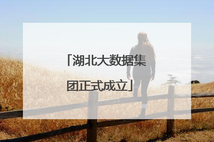 湖北大数据集团正式成立