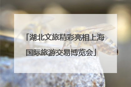 湖北文旅精彩亮相上海国际旅游交易博览会