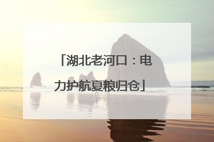 湖北老河口：电力护航夏粮归仓