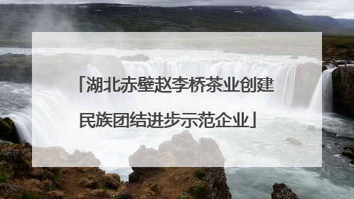湖北赤壁赵李桥茶业创建民族团结进步示范企业
