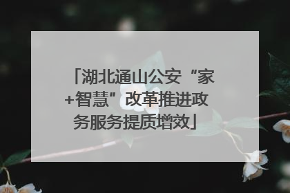 湖北通山公安“家+智慧”改革推进政务服务提质增效