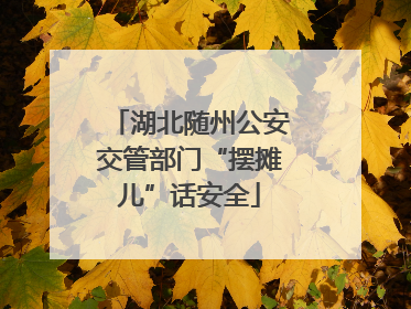 湖北随州公安交管部门“摆摊儿”话安全