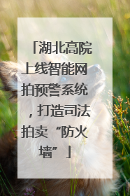 湖北高院上线智能网拍预警系统，打造司法拍卖“防火墙”