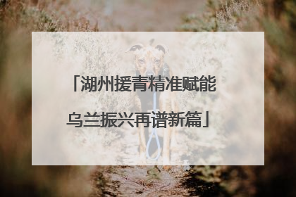 湖州援青精准赋能 乌兰振兴再谱新篇