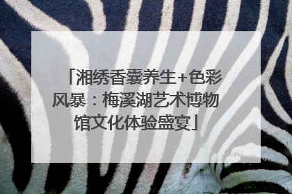 湘绣香囊养生+色彩风暴：梅溪湖艺术博物馆文化体验盛宴