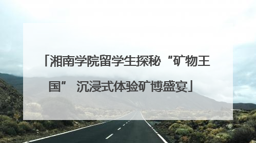 湘南学院留学生探秘“矿物王国” 沉浸式体验矿博盛宴