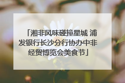 湘非风味碰撞星城 浦发银行长沙分行协办中非经贸博览会美食节