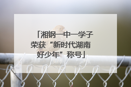 湘钢一中一学子荣获“新时代湖南好少年”称号