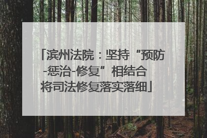 滨州法院：坚持“预防-惩治-修复”相结合 将司法修复落实落细
