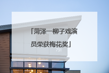 菏泽一柳子戏演员荣获梅花奖