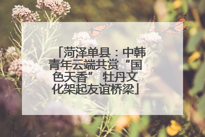 菏泽单县：中韩青年云端共赏“国色天香” 牡丹文化架起友谊桥梁