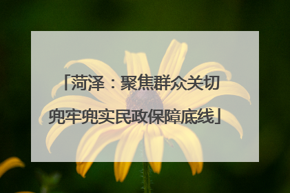 菏泽：聚焦群众关切 兜牢兜实民政保障底线