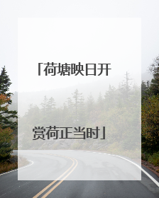荷塘映日开 赏荷正当时
