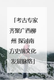 考古专家齐聚广西柳州 探讨南方史前文化发展脉络