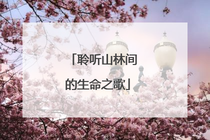 聆听山林间的生命之歌