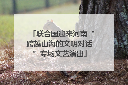 联合国迎来河南“跨越山海的文明对话”专场文艺演出