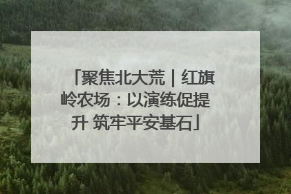 聚焦北大荒｜红旗岭农场：以演练促提升 筑牢平安基石