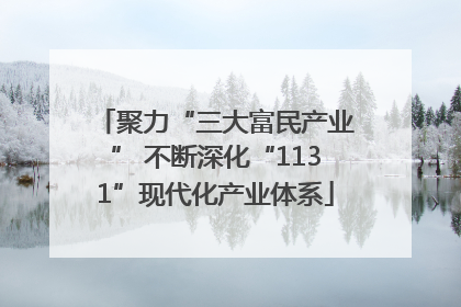 聚力“三大富民产业” 不断深化“1131”现代化产业体系