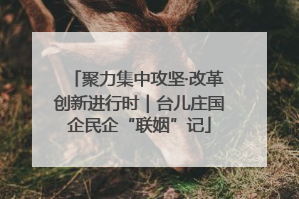 聚力集中攻坚·改革创新进行时｜台儿庄国企民企“联姻”记