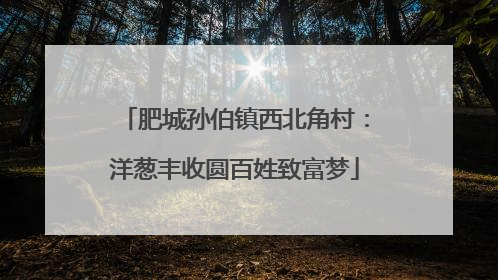 肥城孙伯镇西北角村：洋葱丰收圆百姓致富梦