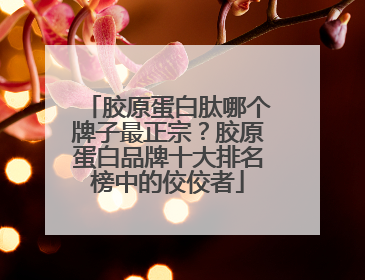 胶原蛋白肽哪个牌子最正宗？胶原蛋白品牌十大排名榜中的佼佼者