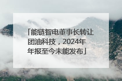 能链智电董事长转让团油科技，2024年年报至今未能发布