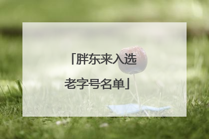 胖东来入选老字号名单