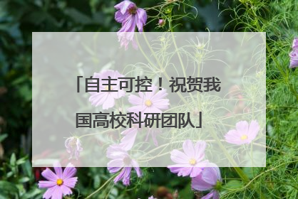 自主可控！祝贺我国高校科研团队