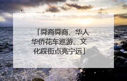 舜裔舜商、华人华侨花车巡游、文化踩街点亮宁远