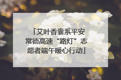 艾叶香囊系平安 常德高速“路灯”志愿者端午暖心行动