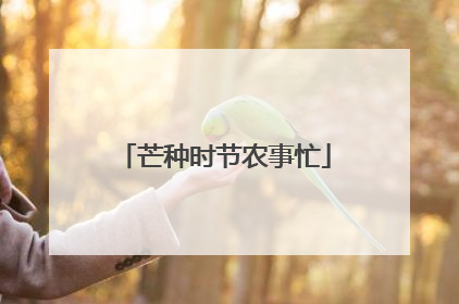 芒种时节农事忙