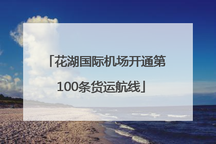 花湖国际机场开通第100条货运航线