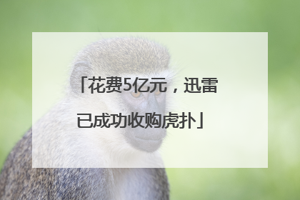 花费5亿元，迅雷已成功收购虎扑