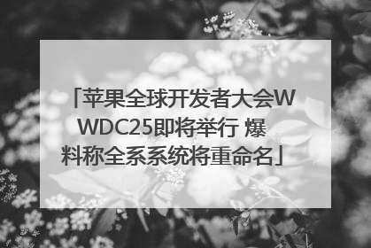 苹果全球开发者大会WWDC25即将举行 爆料称全系系统将重命名