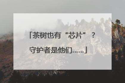 茶树也有“芯片”？守护者是他们……