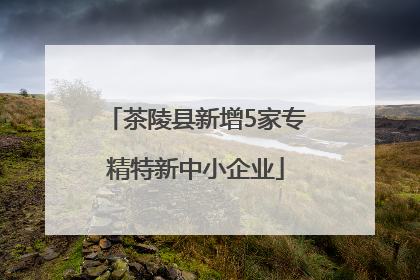 茶陵县新增5家专精特新中小企业