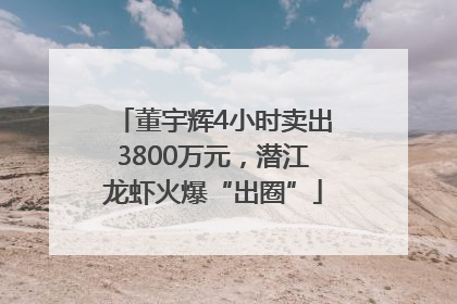 董宇辉4小时卖出3800万元，潜江龙虾火爆“出圈”