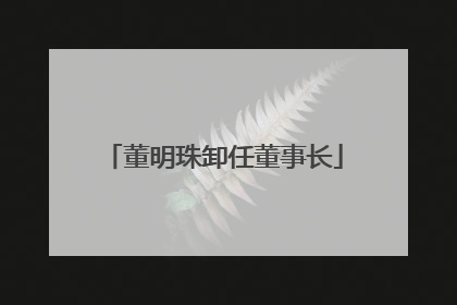 董明珠卸任董事长