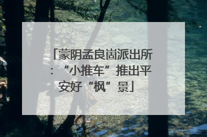 蒙阴孟良崮派出所：“小推车”推出平安好“枫”景