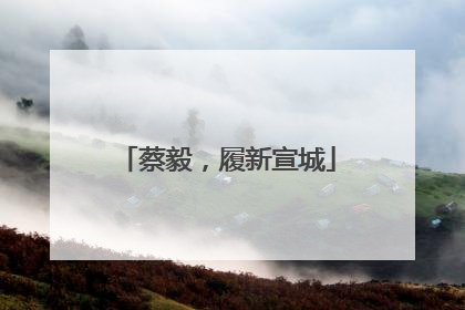 蔡毅，履新宣城