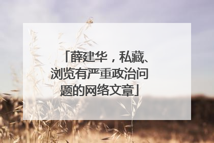 薛建华，私藏、浏览有严重政治问题的网络文章