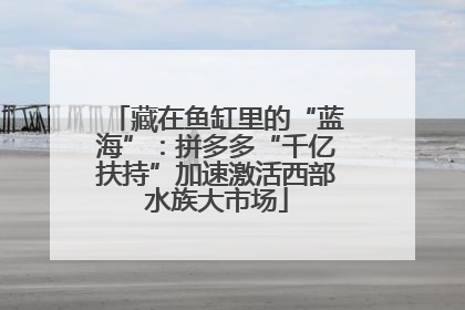 藏在鱼缸里的“蓝海”：拼多多“千亿扶持”加速激活西部水族大市场