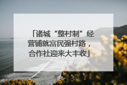 诸城“整村制”经营铺就富民强村路，合作社迎来大丰收