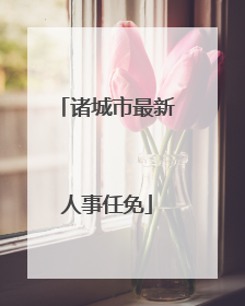 诸城市最新人事任免
