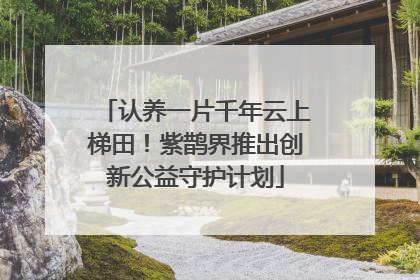认养一片千年云上梯田！紫鹊界推出创新公益守护计划
