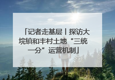 记者走基层丨探访大垸镇和丰村土地“三统一分”运营机制