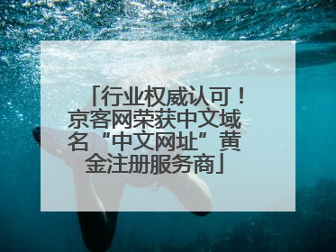 行业权威认可！京客网荣获中文域名“中文网址”黄金注册服务商