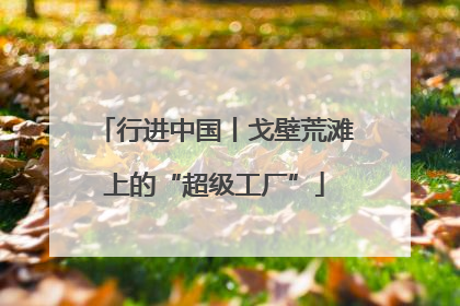 行进中国丨戈壁荒滩上的“超级工厂”